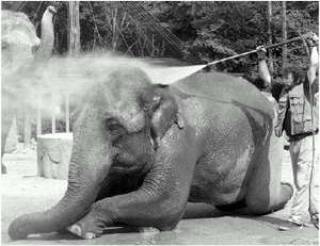 Взбодриться или расслабиться