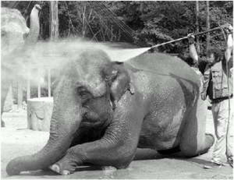 Взбодриться или расслабиться