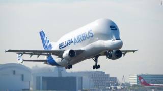 Airbus приступил к финальной сборке самолёта Beluga XL
