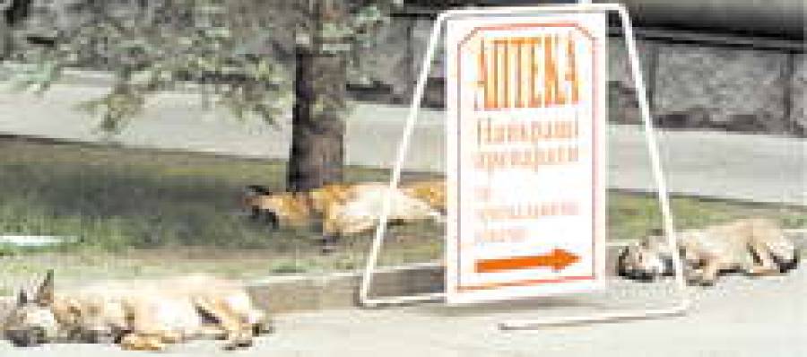 Слабительное для кошелька.Дешевых лекарств станет меньше.