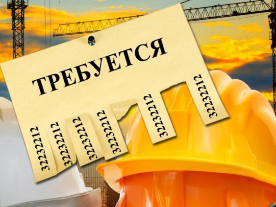«Сын c прекрасным образованием уже год ищет в Риге работу». Виноват русский?
