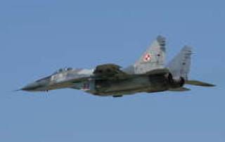Поляки высадились под Шяуляем