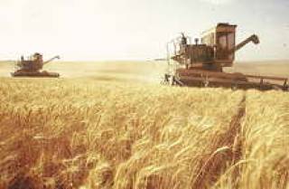 Украина также не спешит продавать зерновые культуры.