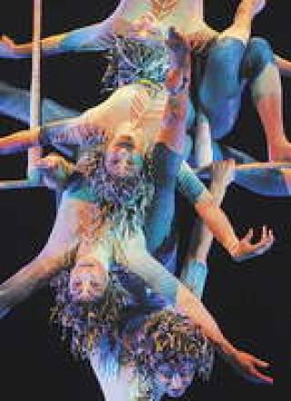 Российская премьера Varekai состоится 23 октября. Спектакль будет идти в Москве два месяца.
