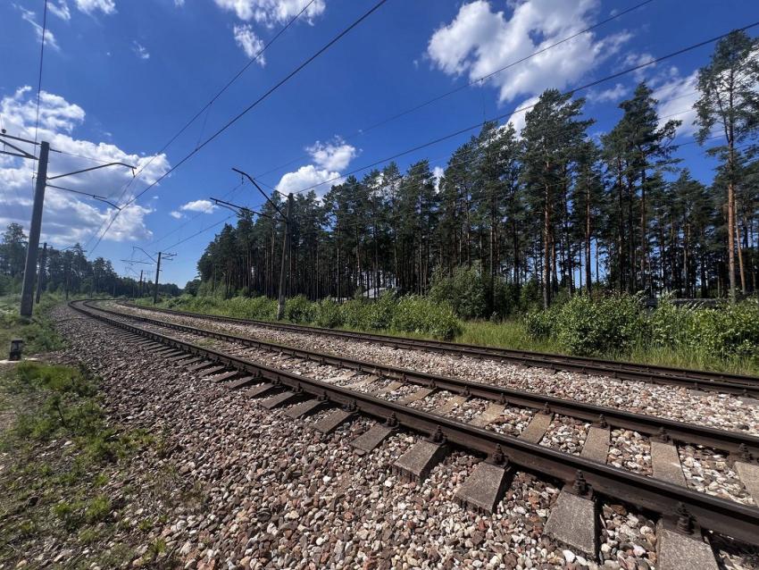 Оборот концерна Latvijas dzelzceļš в прошлом году уменьшился на 11,3%