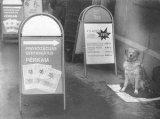 Сертификат нашел поддержку