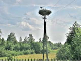 Острые углы единого рынка