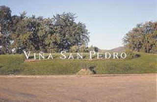 Vina San Pedro — аромат Чили